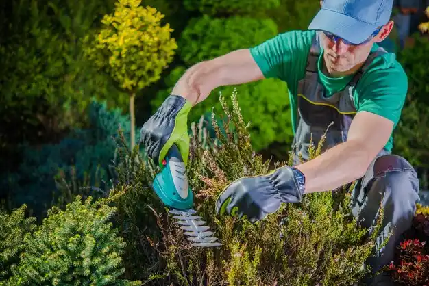 landscaping services Bloomfield Hills